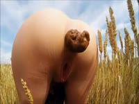 Brown Babies-Greatist Shits Vol